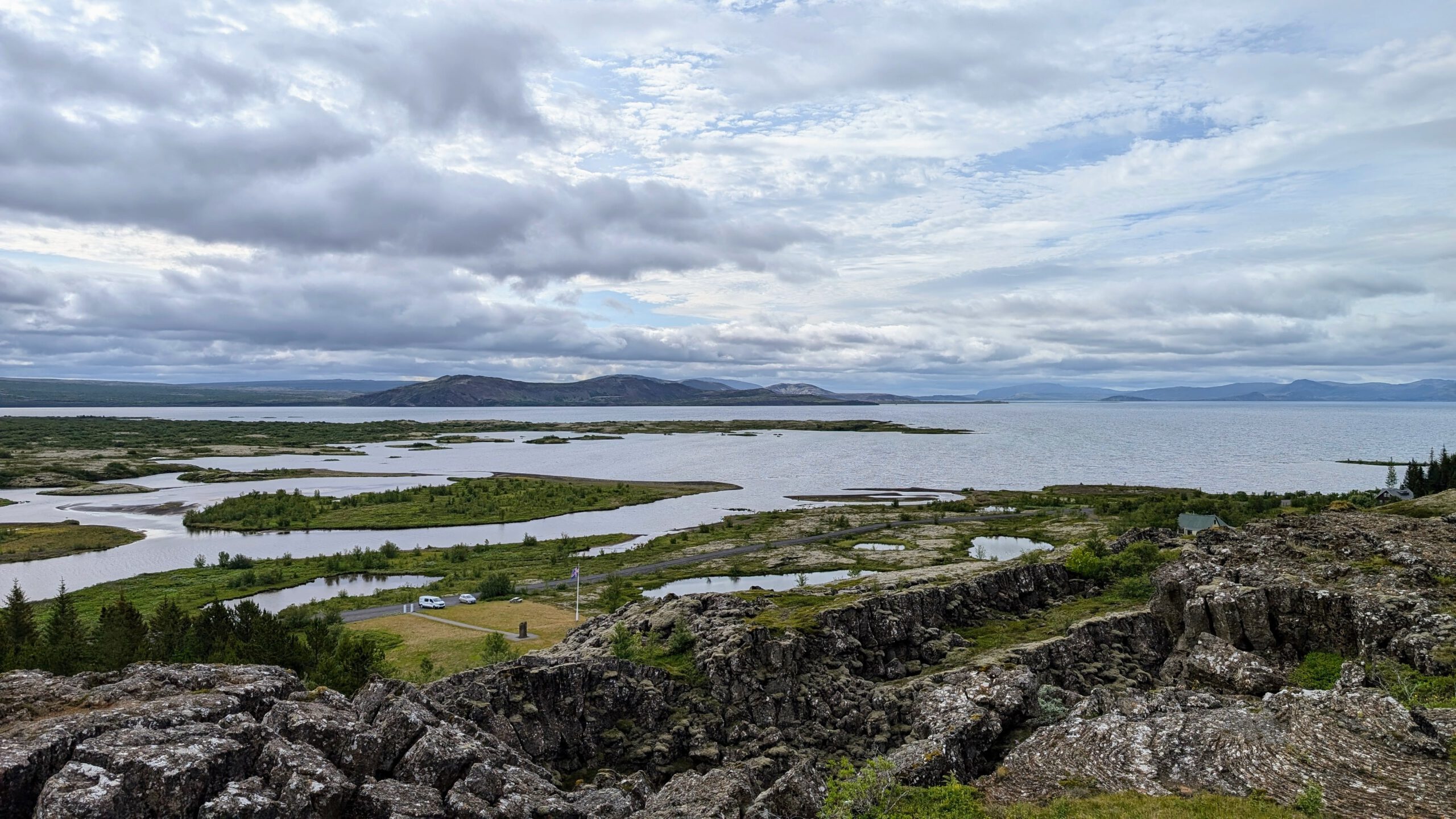 Reykjavík tymikat (1)