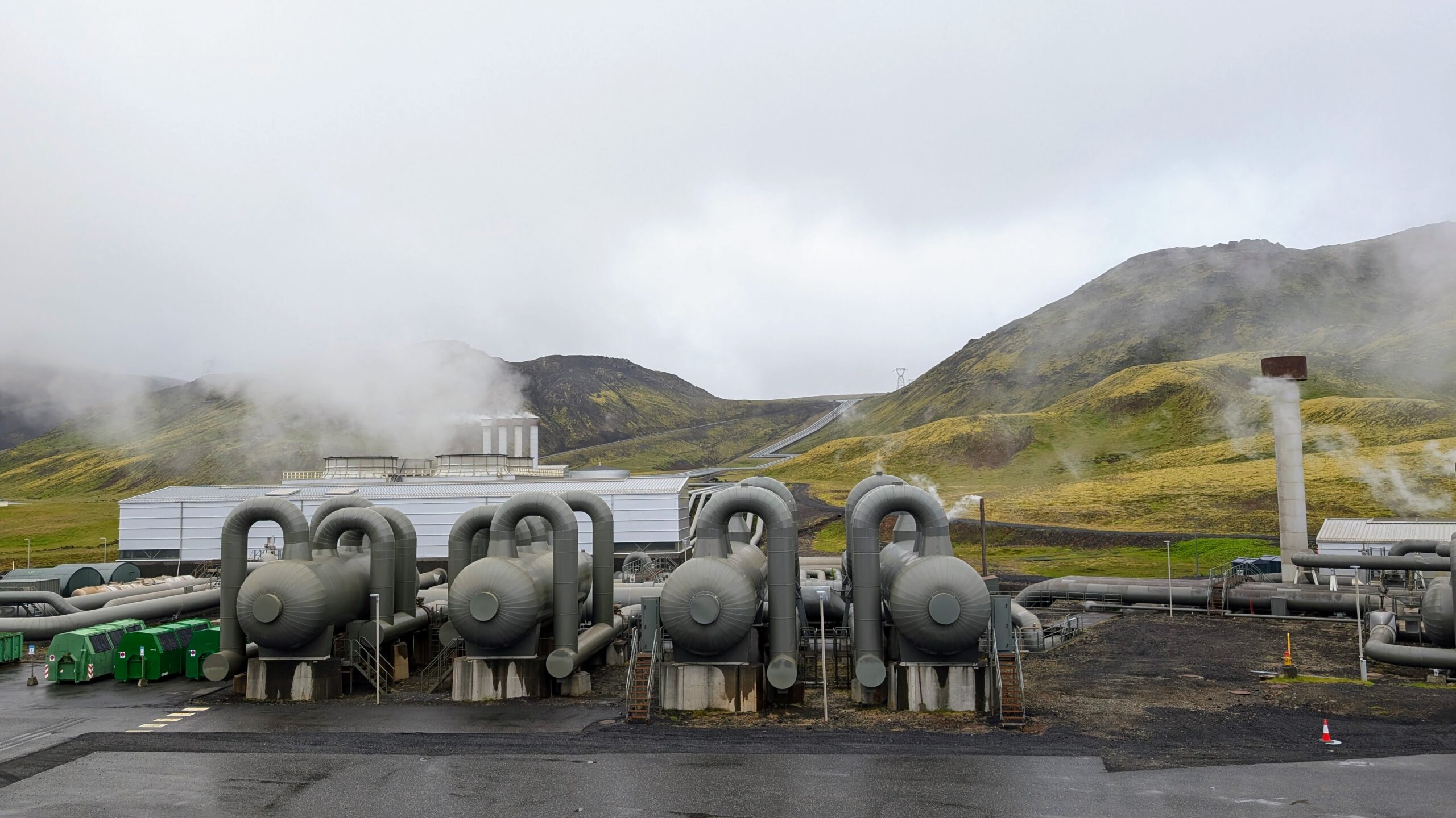 Reykjavík tymikat (2)