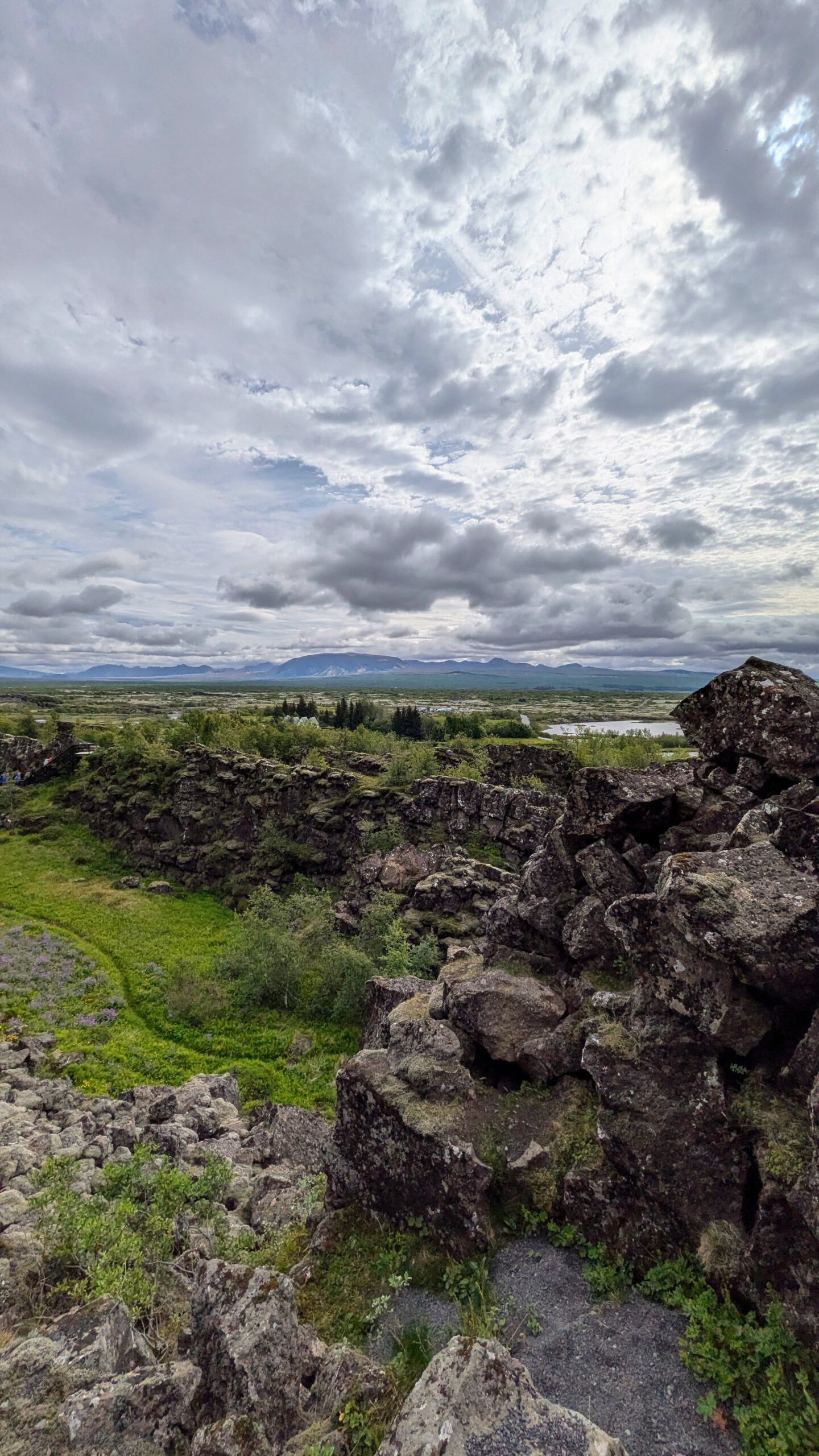 Reykjavík tymikat (3)