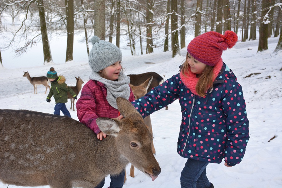 Wildparadies Fuetterung im Winter