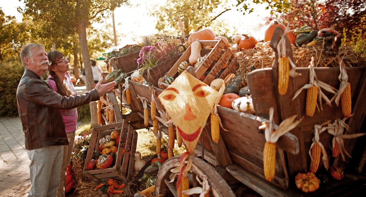 Altweibersommer Tripsdrill (1)