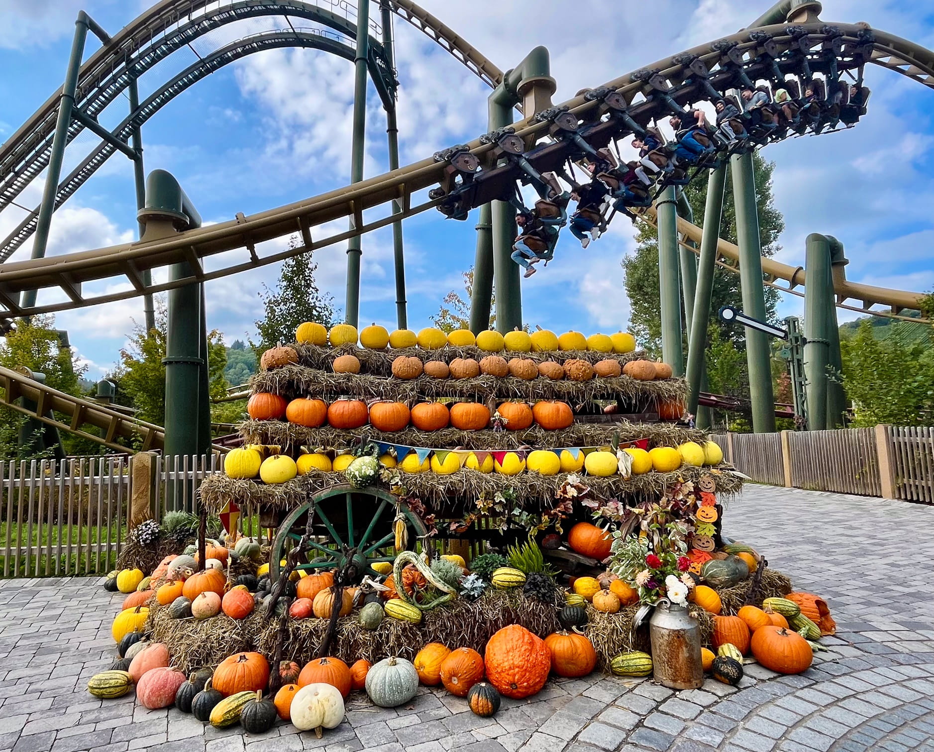 Hals über Kopf herbst (1)